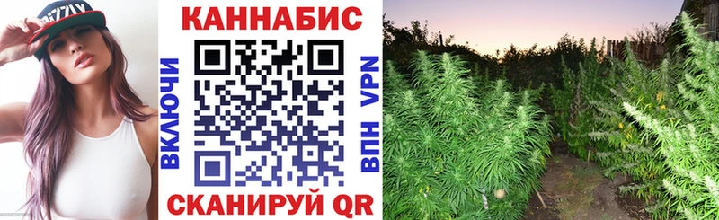 Купить закладку Alpha PVP  COCAIN  Меф мяу мяу  Канабис  Миньяр