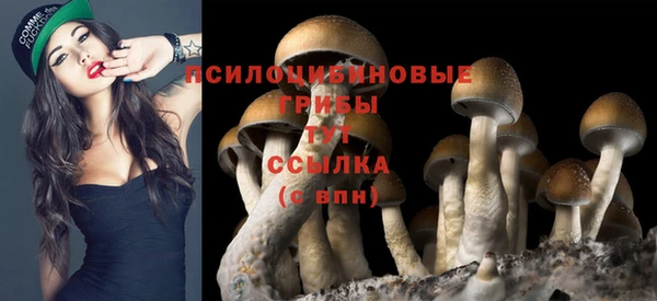 гидра Зерноград