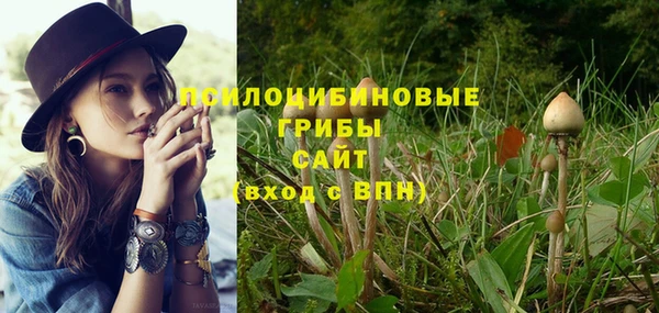 метамфетамин Заводоуковск