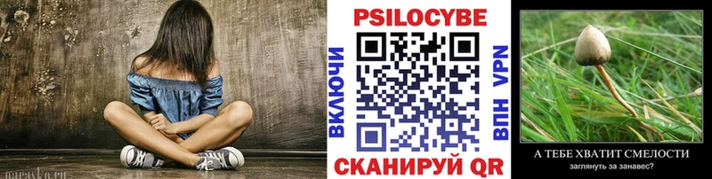 Галлюциногенные грибы прущие грибы  Купить  Миньяр 